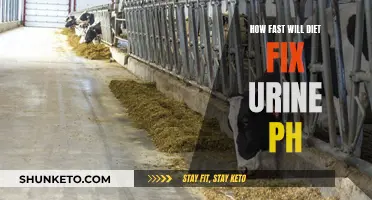 Fixing Urine pH: How Dieting Can Quickly Help