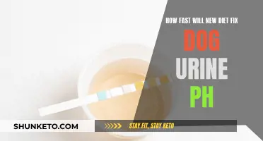 Fixing Dog Urine pH: The Role of Diet