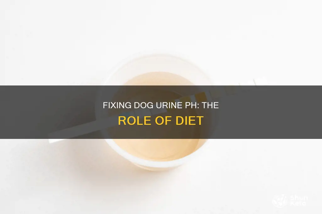 how fast will new diet fix dog urine ph