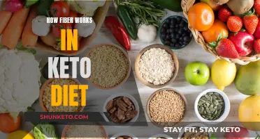 Fiber and Keto: Understanding the Science of Fiber