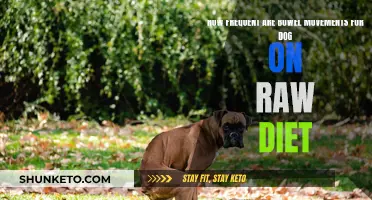 Raw Diet and Bowel Movements in Dogs