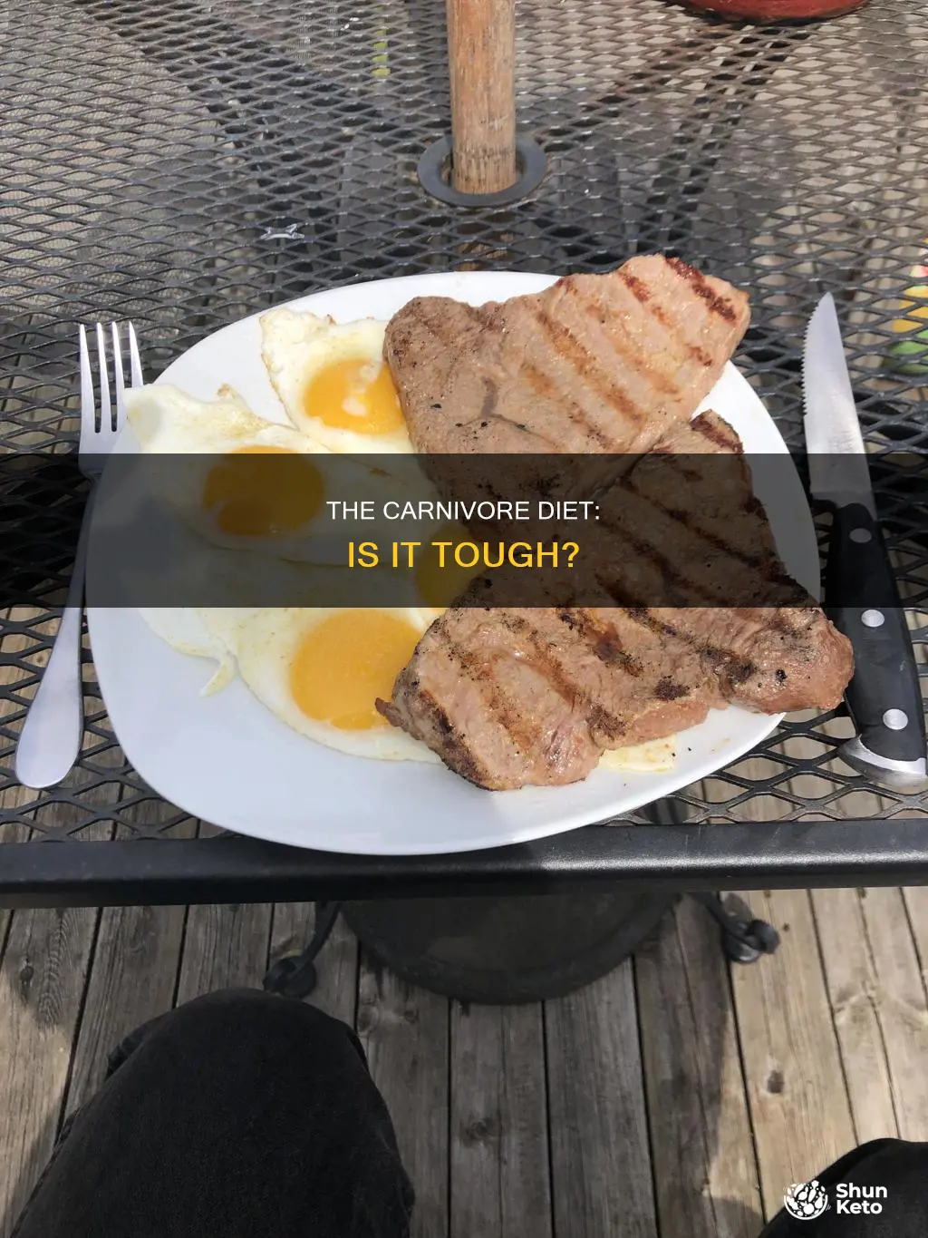 how hard is the carnivore diet