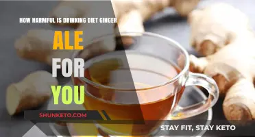 Is Diet Ginger Ale Harmful to Your Health?