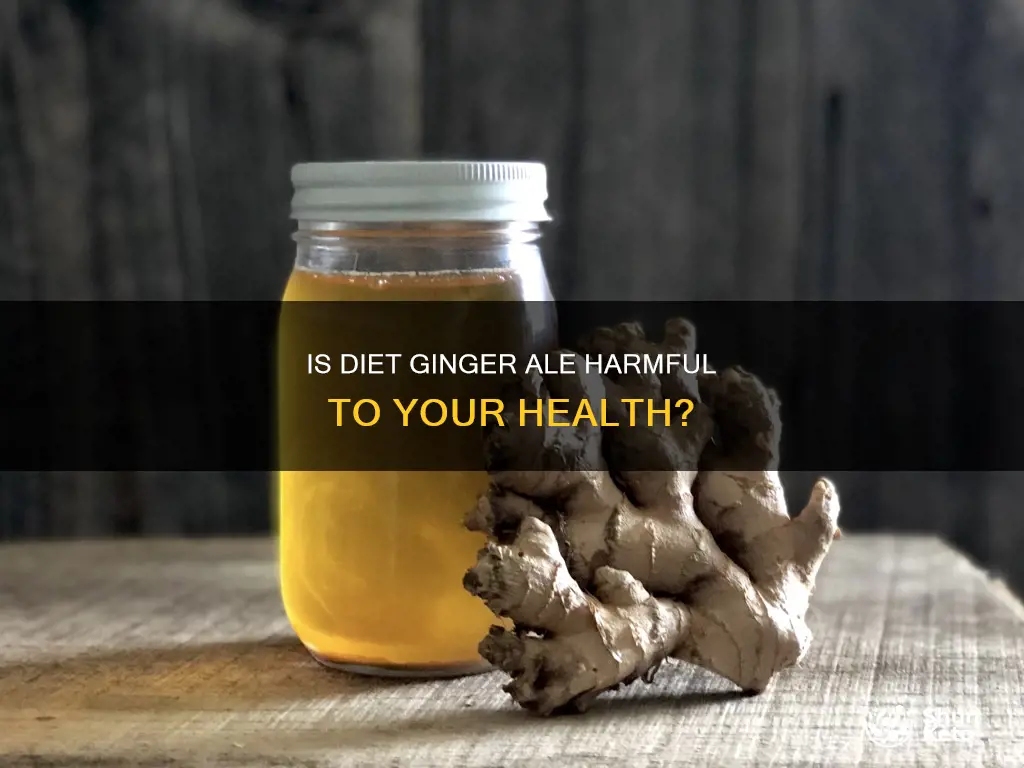 how harmful is drinking diet ginger ale for you