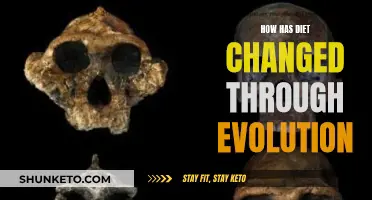 Evolution's Diet: A Historical Perspective on Human Eating Habits