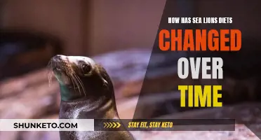 Evolution of Sea Lion Diets: Past to Present