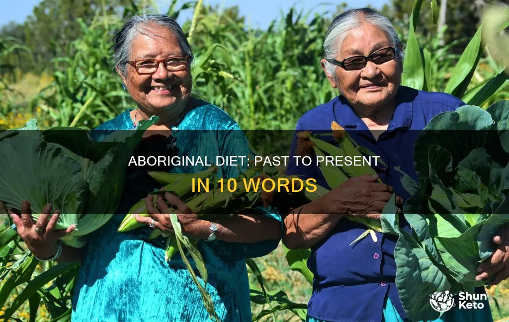 how has the aboriginal diet changed