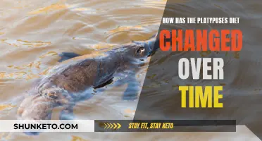 Evolution of the Platypus Diet: Past to Present