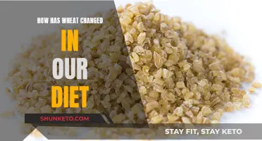 Wheat's Evolution: Changing Diets and Nutrition