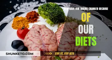 The Brain on Food: Evolution of Human Diet