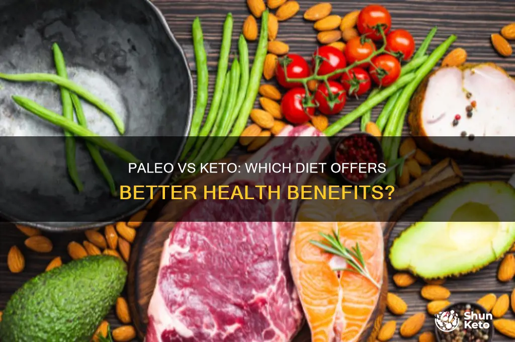 how healthy is the paleo diet compared to keto