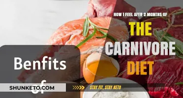 My Carnivore Diet Experience: Energy, Mood, and Health