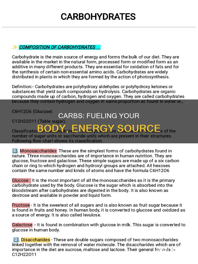 how important are carbs in your diet