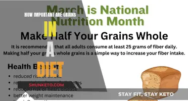 Grains: Essential Dietary Components or Unnecessary Fillers?
