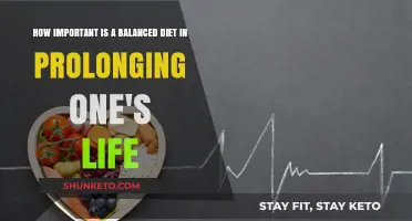 Balanced Diets: Key to Longevity and Healthy Living