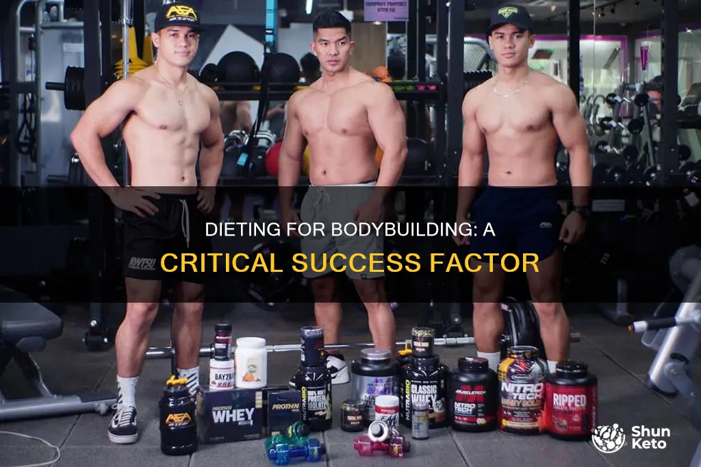 how important is a diet for bodybuilding