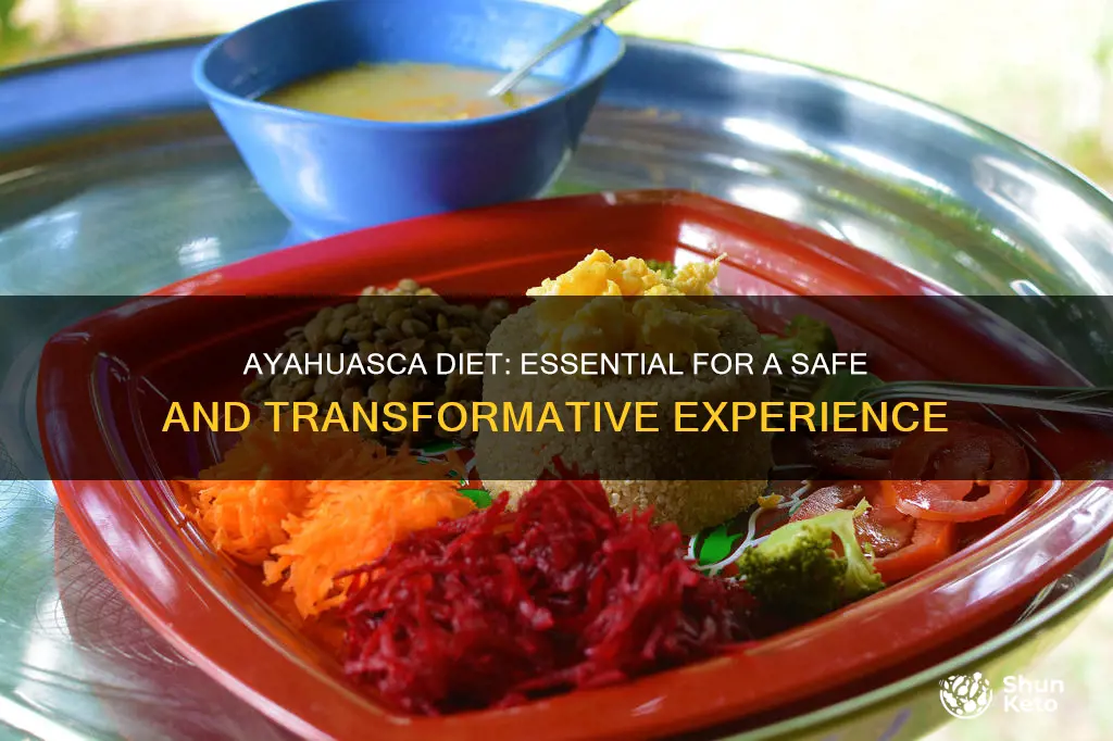 how important is ayahuasca diet