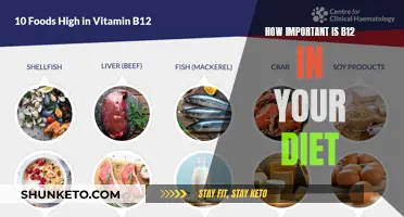 B12: An Essential Dietary Component for Overall Health