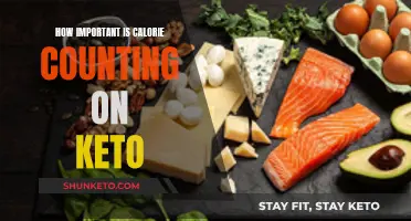 Calorie Counting on Keto: Necessary or Not?