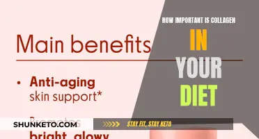 Collagen's Role: Essential or Exaggerated?