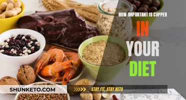 Copper's Essential Role in Your Diet