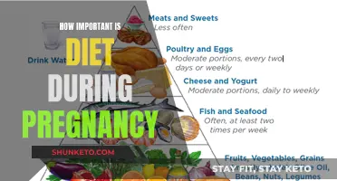 Nutrition During Pregnancy: A Crucial Time