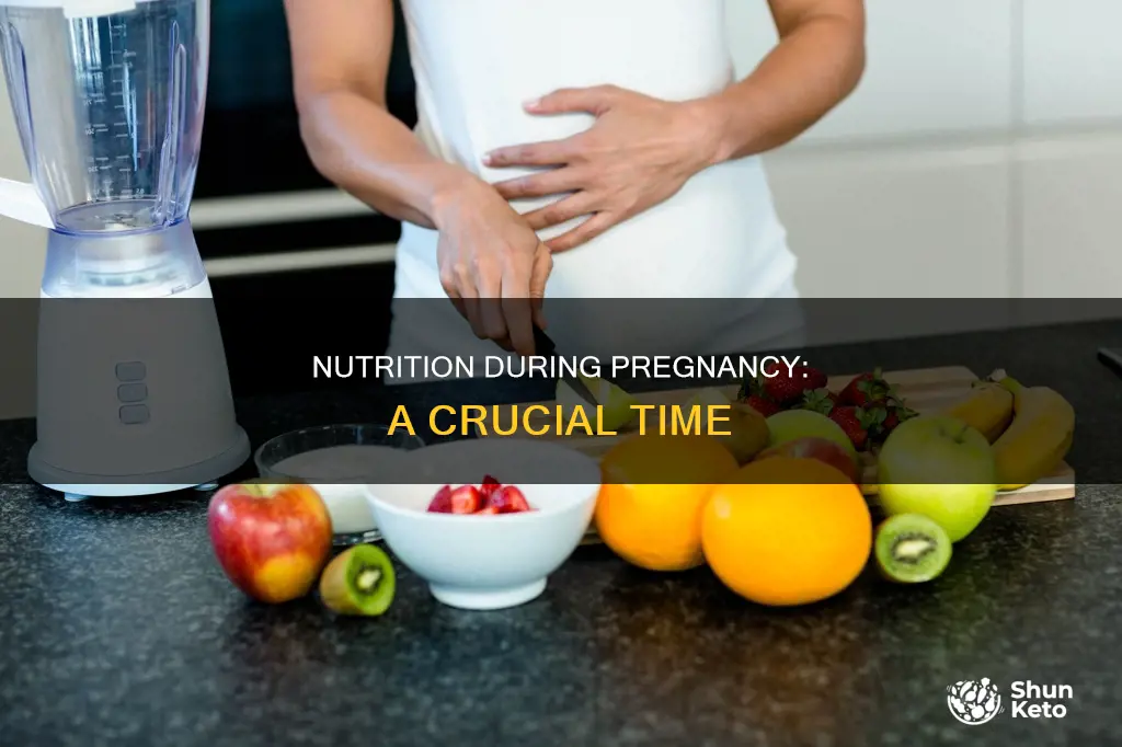 how important is diet during pregnancy