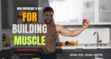 Muscle Building: The Role of Diet