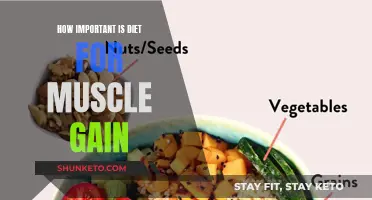 Muscle Gain: Diet's Critical Role