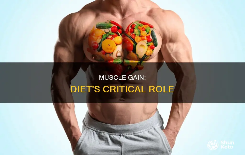 how important is diet for muscle gain