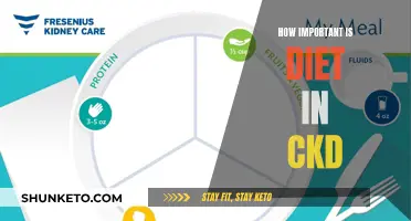 Diet's Impact on CKD: What You Need to Know