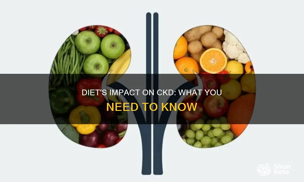 how important is diet in ckd