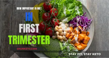 Nutrition During Pregnancy: First Trimester Diet Essentials