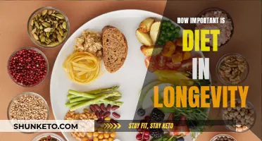 Diet's Role in Longevity: What You Need to Know