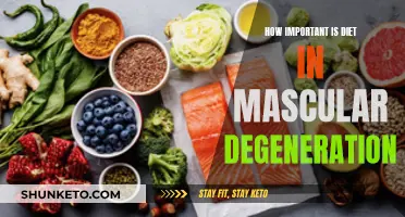 Diet's Role in Fighting Macular Degeneration