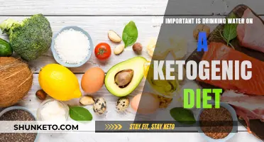 Staying Hydrated: Ketogenic Diet and Water Intake