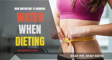 Hydration: A Key Factor in Dieting Success