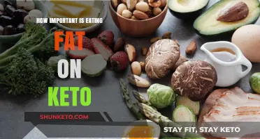 The Crucial Role of Fat in a Successful Keto Diet