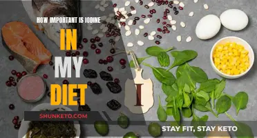 Iodine: An Essential Mineral for Your Diet