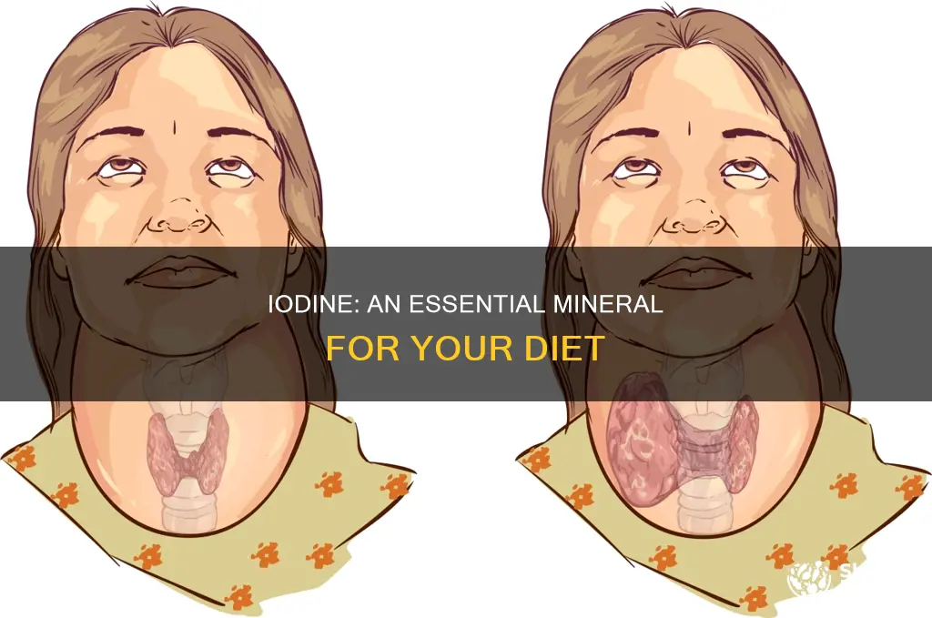 how important is iodine in my diet