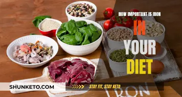 Iron's Vital Role in Your Diet and Health