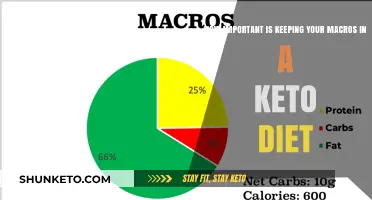 Mastering Macros: The Key to Keto Diet Success and Results