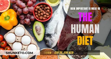 Meat in Human Diet: Essential or Avoidable?