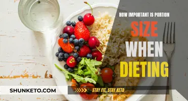 Portion Control: A Key to Dieting Success