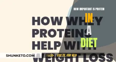 Protein Power: The Dietary Essential