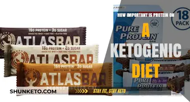 Protein on Keto: What, Why, and How Much?