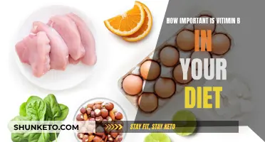 Vitamins B: Essential for a Healthy Diet