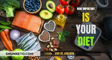 Diet Dictates Your Health: The Importance of Eating Right