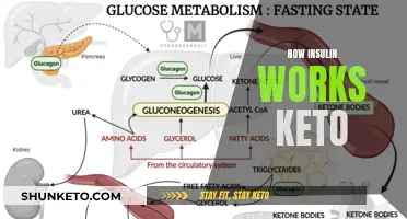 Understanding Insulin's Role in a Ketogenic Diet