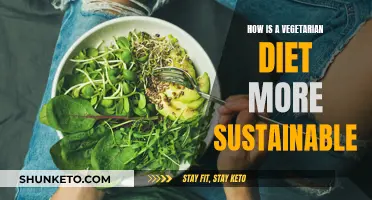 Vegetarian Diets: Sustainable, Healthy, and Ethical Choice